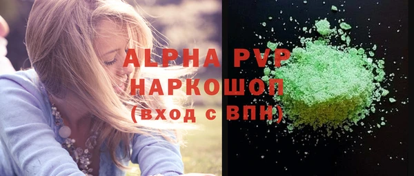 амф Гусев