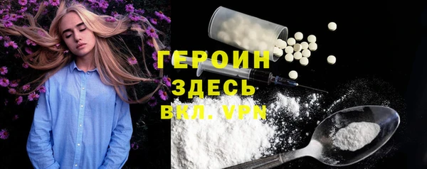 амф Гусев