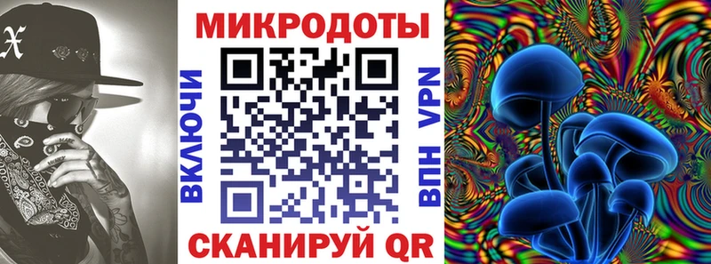 Купить закладки  Кизляр  Галлюциногенные грибы Psilocybe 